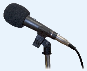 Microphone2