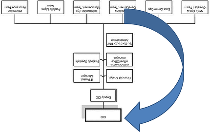CIO org chart