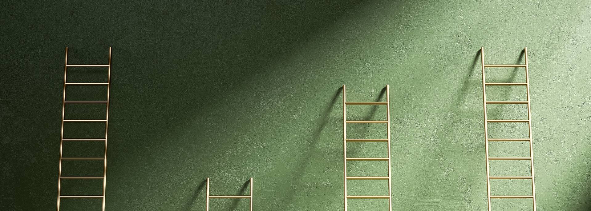 IT career advancement ladders