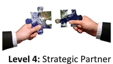 IT strategic partner