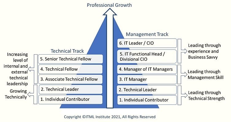 IT Leadership Maturty Model