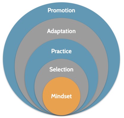 Personal growth path