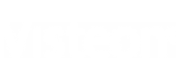 visteon